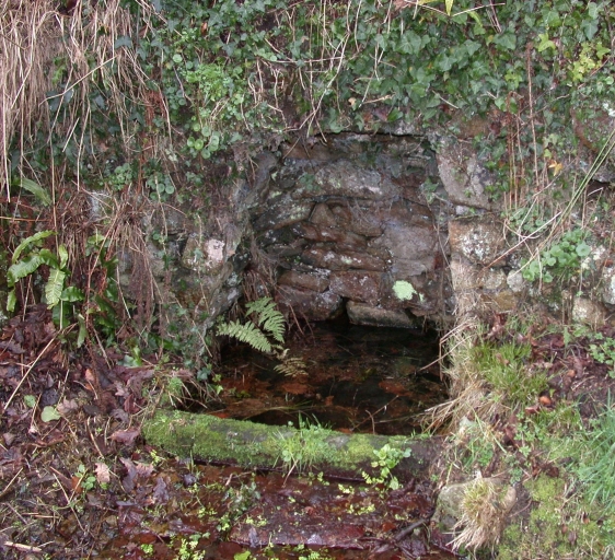 Fontaine, Roudouanton (Saint-Quay-Perros)