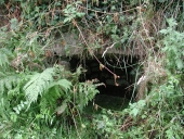 Fontaine Varlentan, chemin de Varlantan (Trégastel)