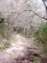 Sentier : ancienne voie romaine (Plouha)