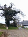 Manoir, actuellement ferme, Richebois (Pleurtuit)