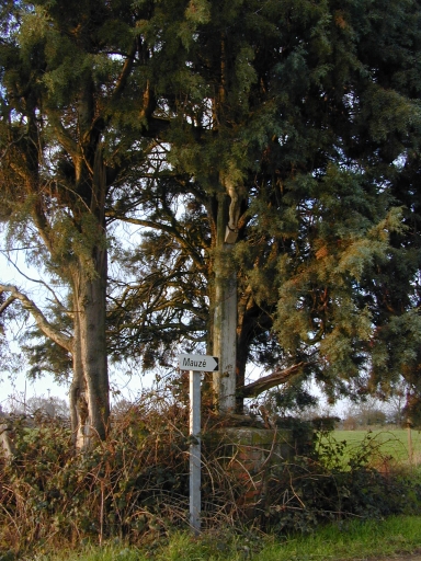 Croix de chemin, Mauzé (Torcé)