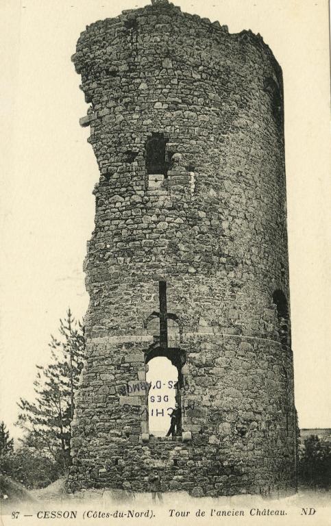 Château fort et tour de Cesson, Domaine de la Tour de Cesson, rue de la Tour (Saint-Brieuc)