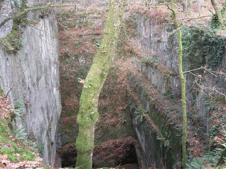 Ardoisières de la Croix aux Chênes (Pluherlin)