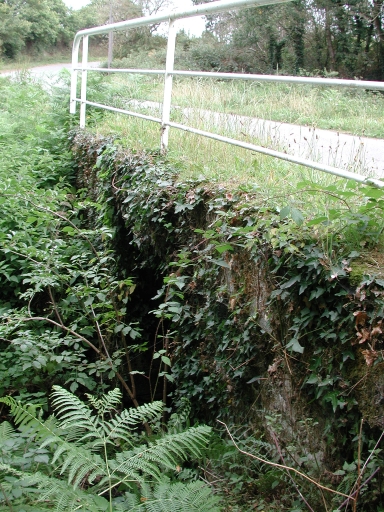 Pont (Québriac)