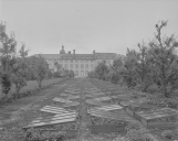 Abbaye de Chanoines, 54 rue de Rillé (Fougères)