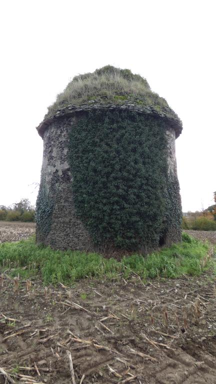 Colombier, Lann Alan (Pleudaniel)
